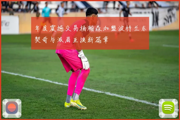 年度震撼交易杨瀚森加盟波特兰东契奇与浓眉互换新篇章