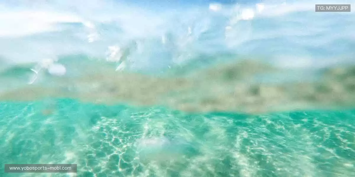 一键开启，赛事瞬间同步！🎯